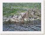 Tumbled Rocks - Trout River * 2592 x 1944 * (2.68MB)